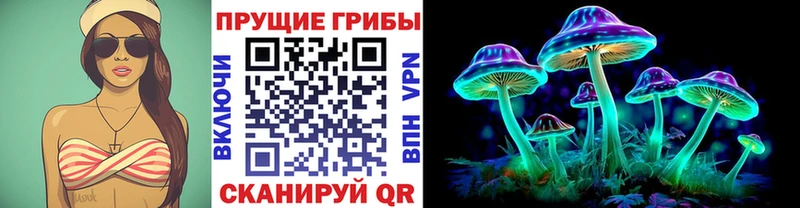 Галлюциногенные грибы Magic Shrooms  где продают   Тимашёвск 
